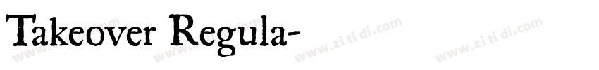 Takeover Regula字体转换